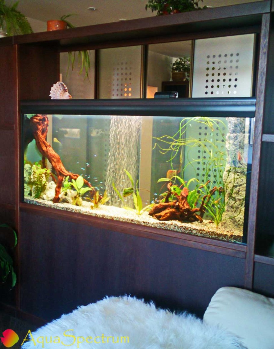 Аквариум в стенке