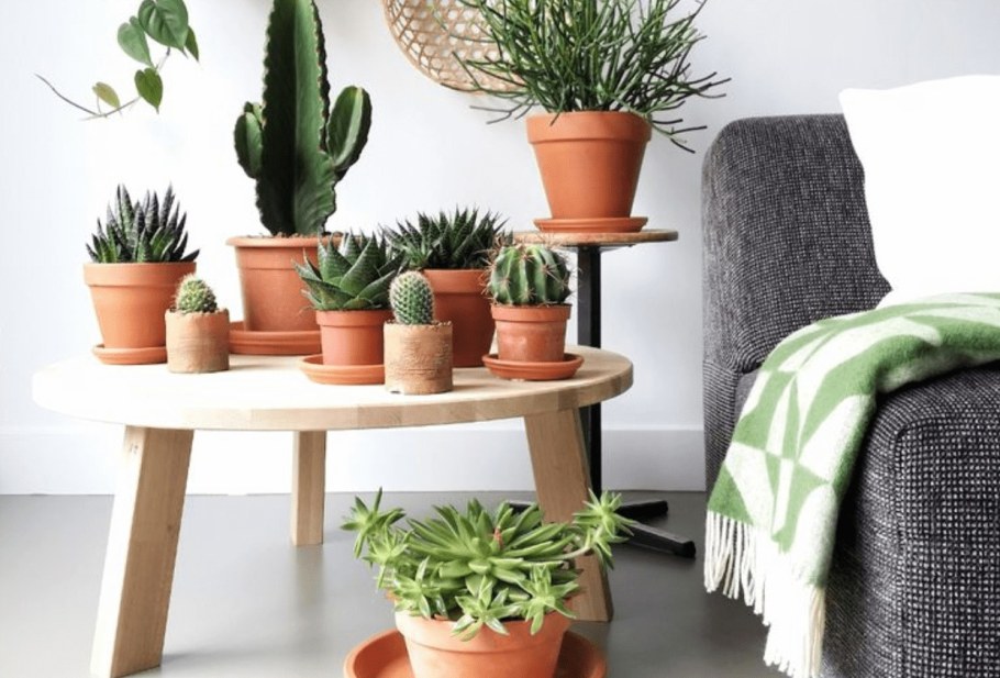 Цветочные горшки в интерьере