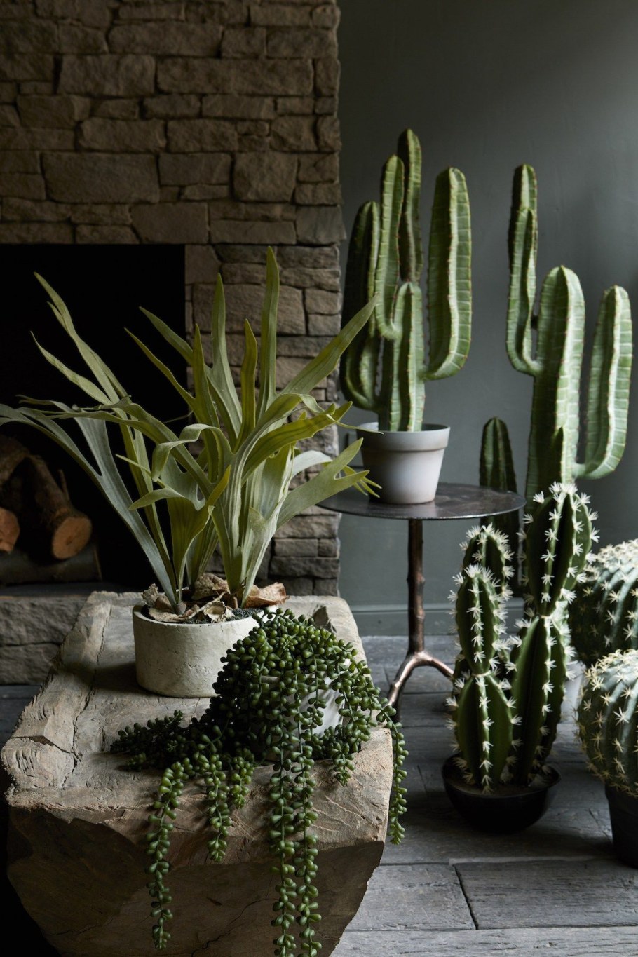 Суккуленты в интерьере