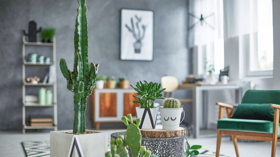 Искусственные растения в интерьере