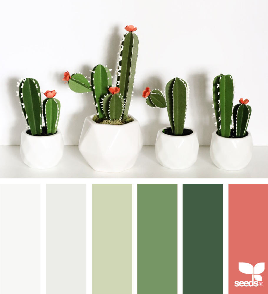 Сочетание Кактус палитра