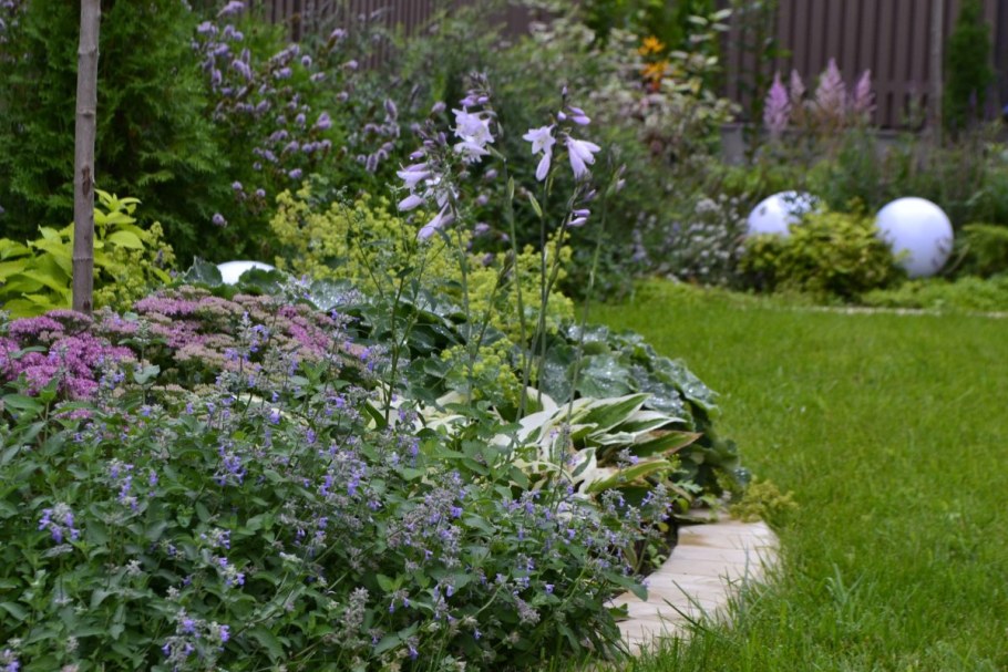 Миксбордер с пряными травами мята