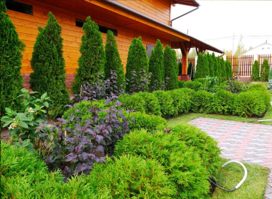 Ландшафтный дизайнер Калининград