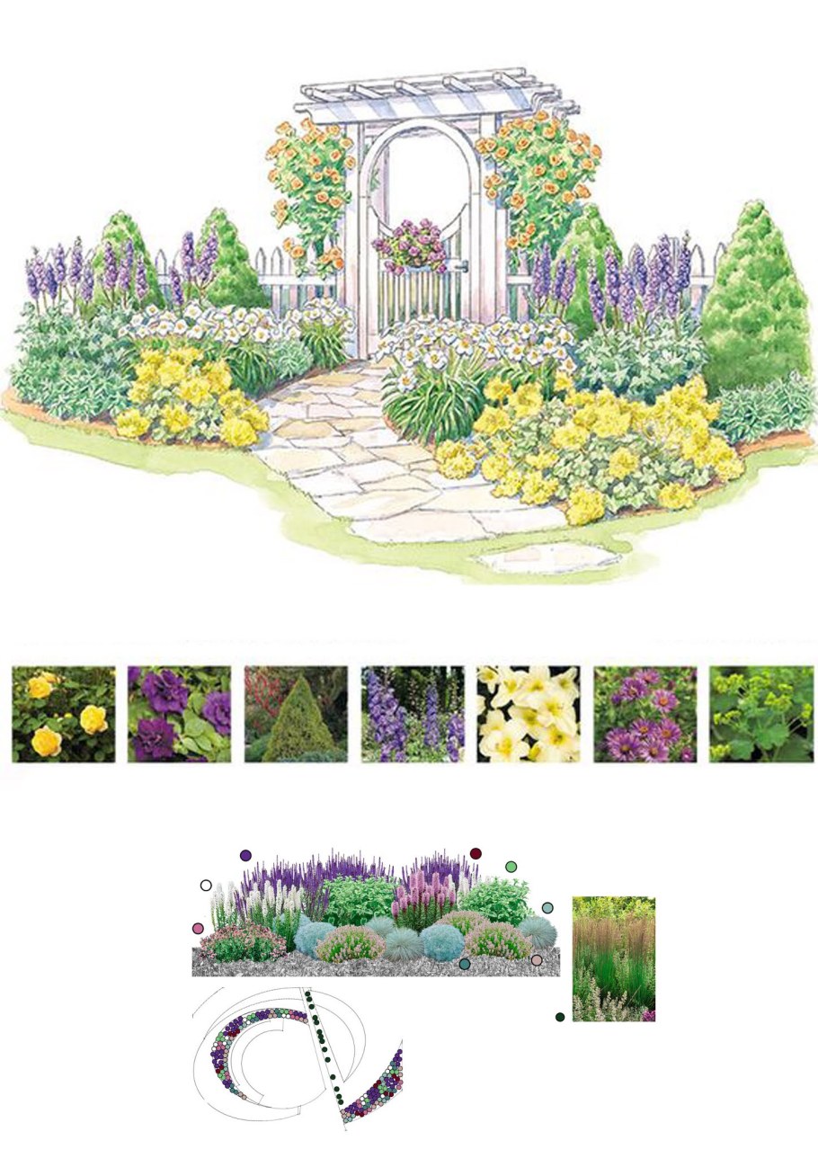 Миксбордеры в ландшафтном дизайне схемы
