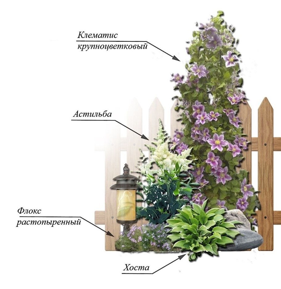 Миксбордер с клематисами