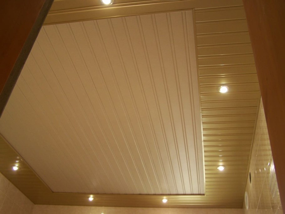 Пластиковые панели для потолка