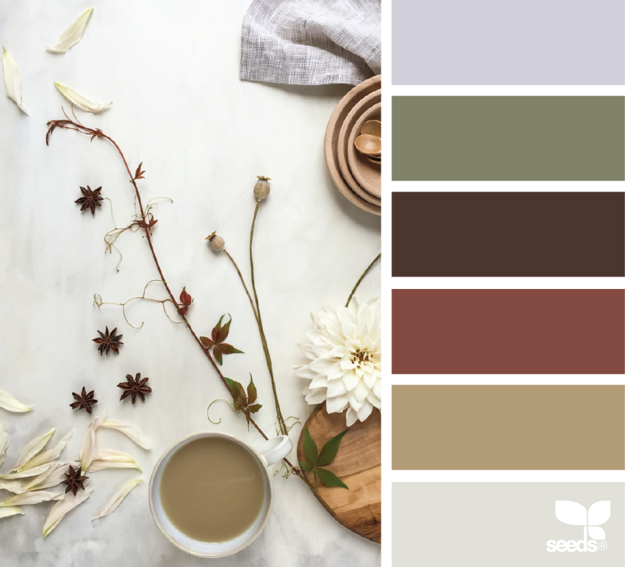 Цветовые сочетания с коричневым