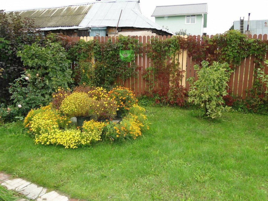 Композиция в ландшафте с калиной бульденеж