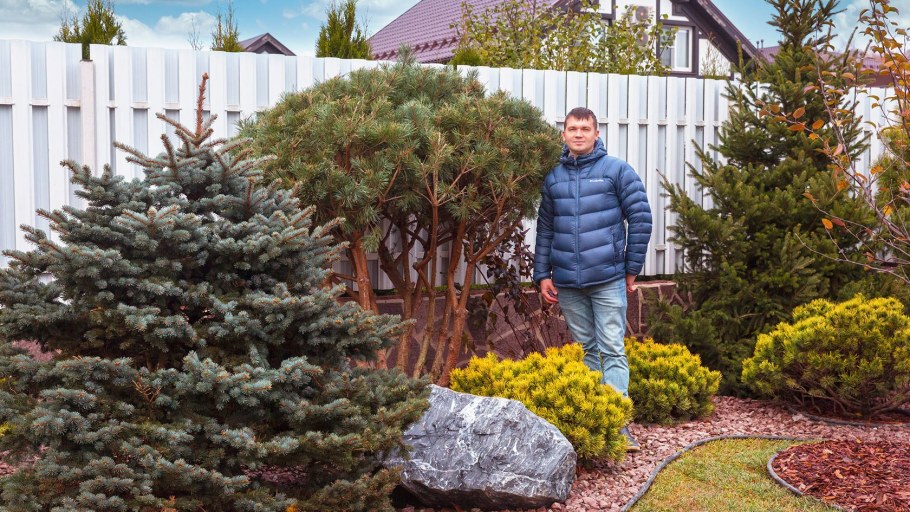 Глаука Глобоза в ландшафтном дизайне