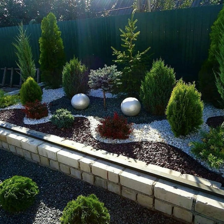 Ель Глаука Глобоза