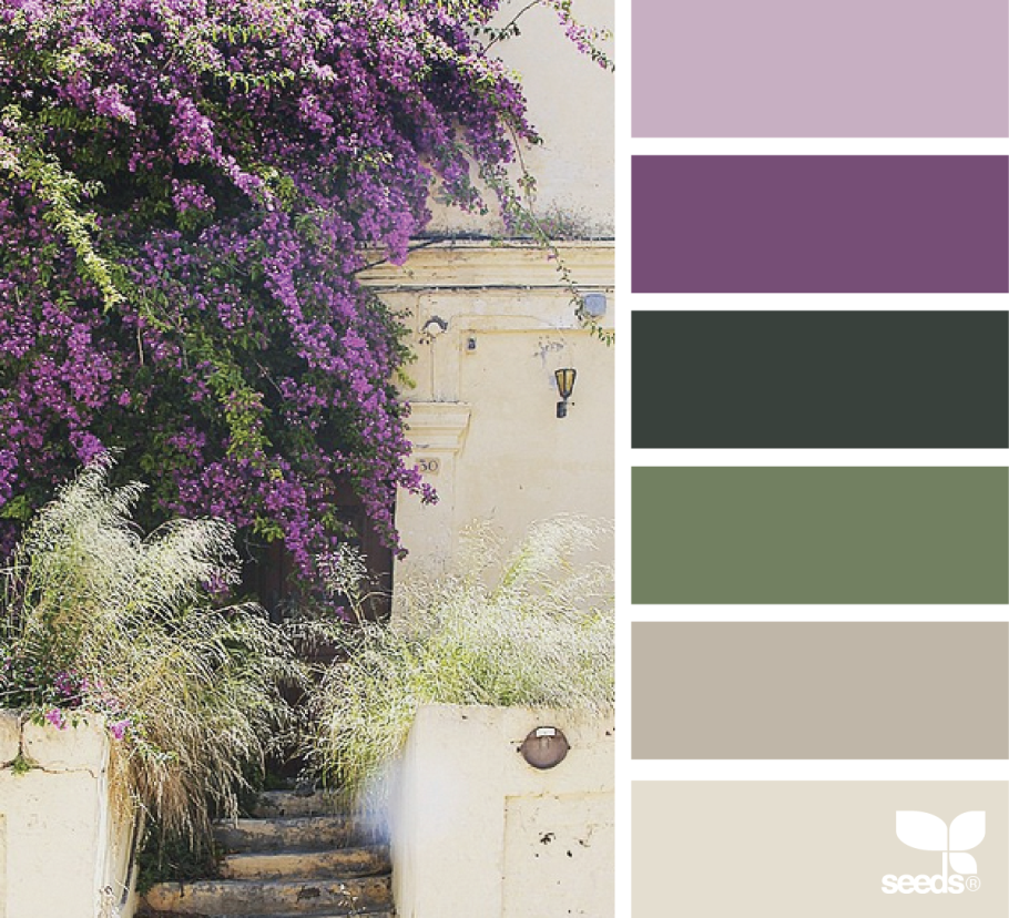 Палитра Сидс сирень