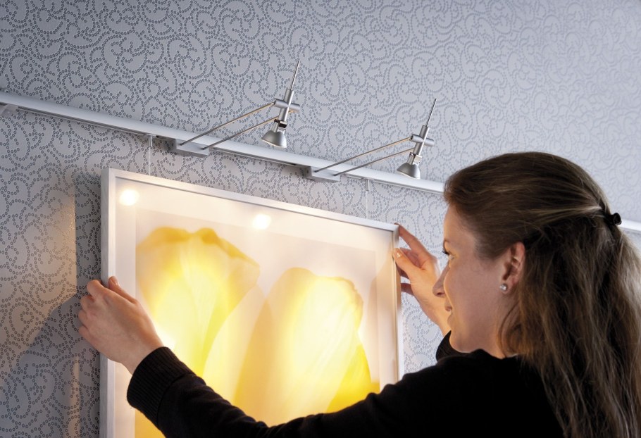 Трековая подсветка картина Paulmann