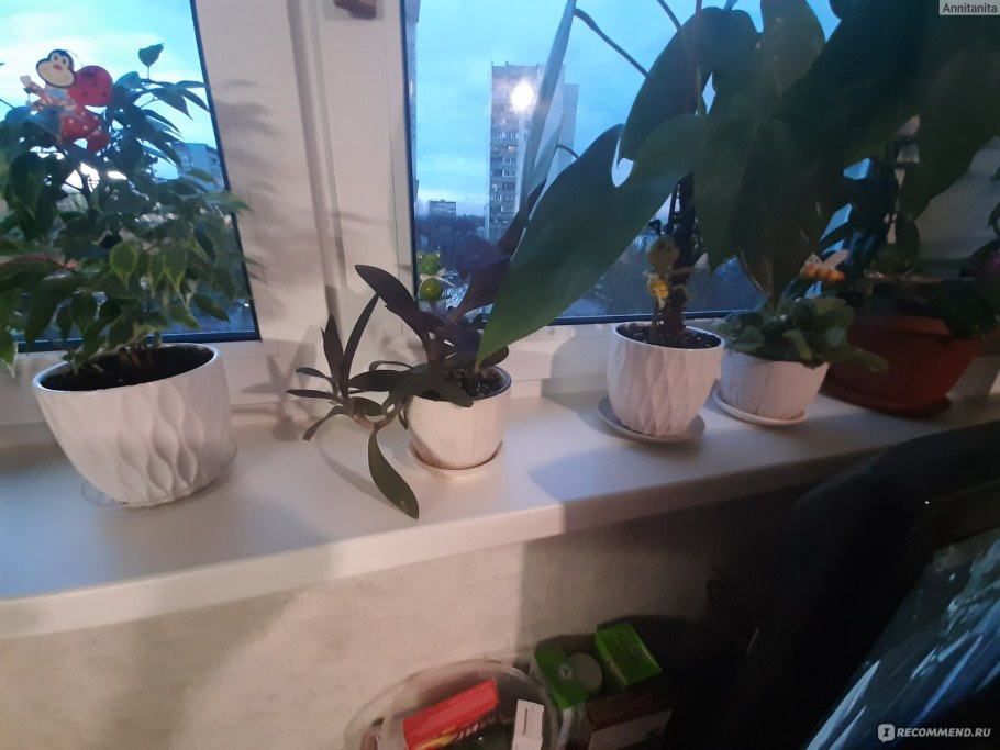 Горшок для цветов фикс прайс