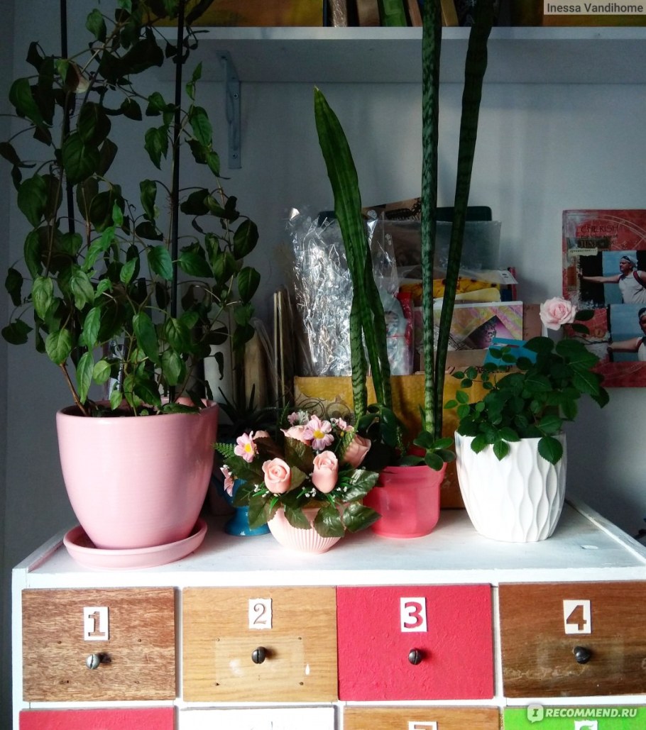 Горшок для цветов фикс прайс