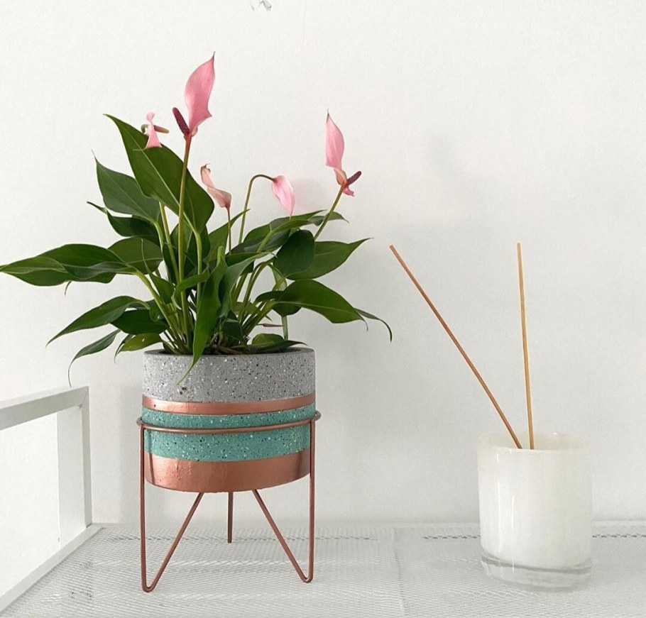 Декорация цветок в горшке фикс