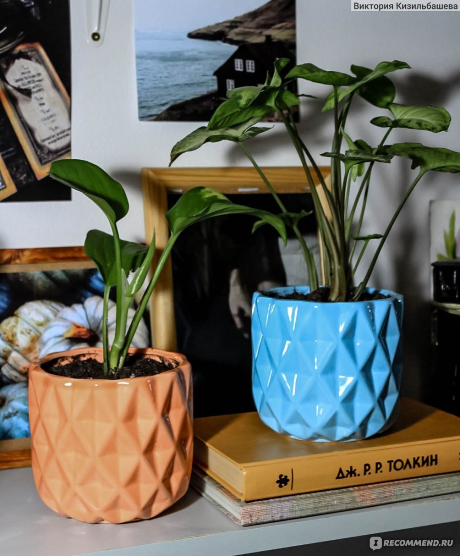 Fix Price горшок для цветов