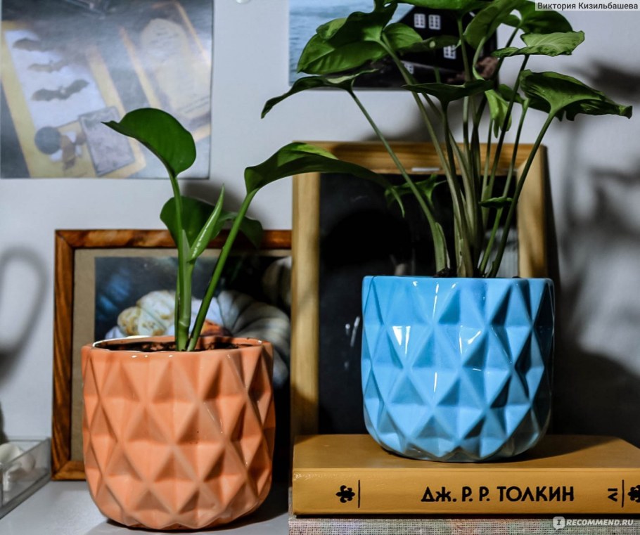Модные цветочные горшки 2022