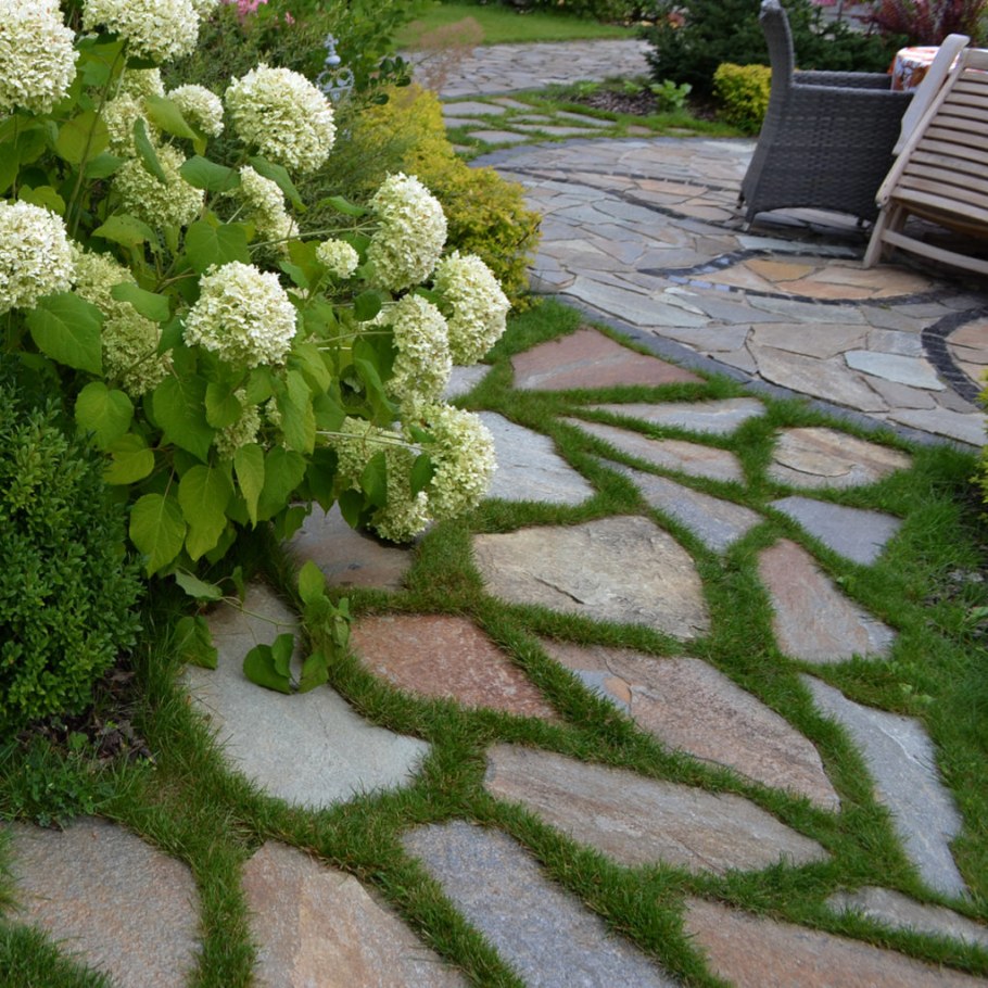 Седум в ландшафтном дизайне