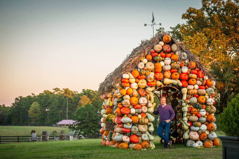 Декоративная тыква в саду
