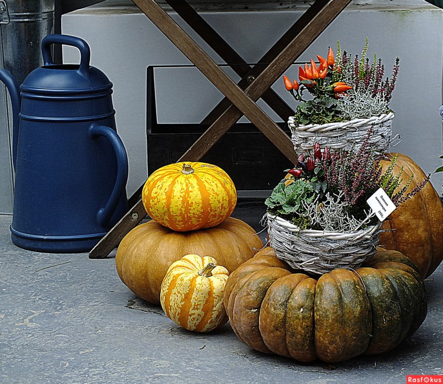 Композиция в тыкве