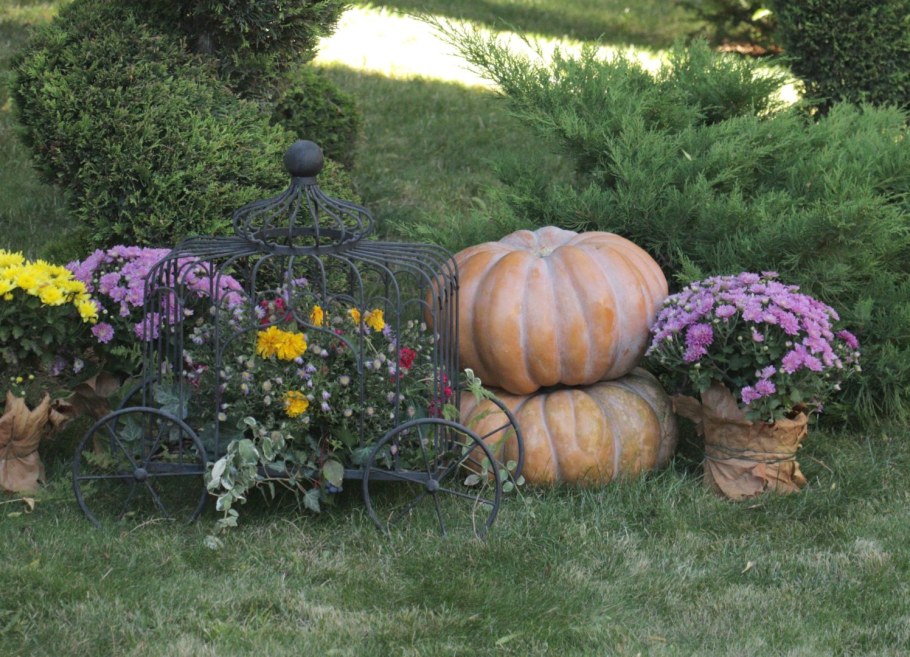 Тыква для сада большая