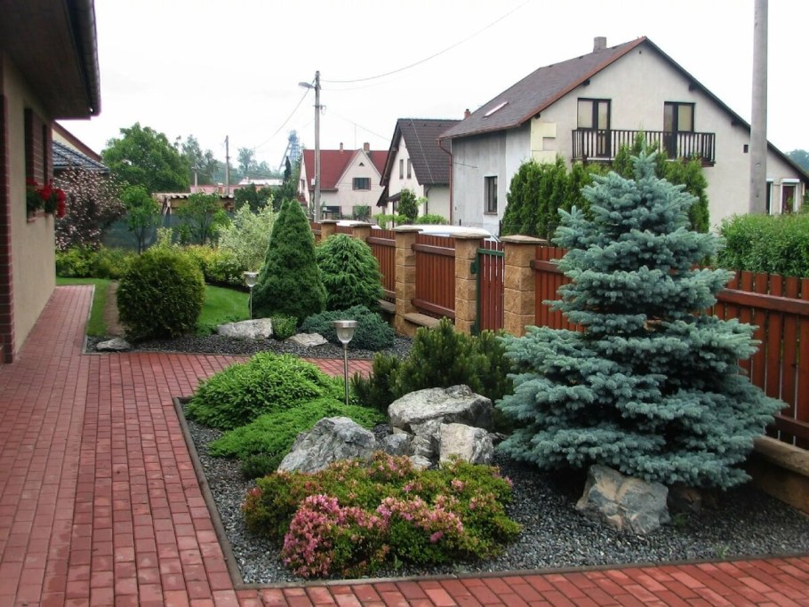 Туя Даника в ландшафтном