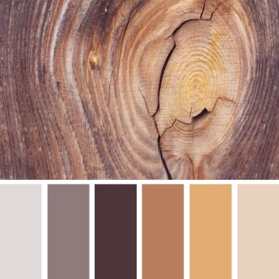 Сочетание цветов в древесине