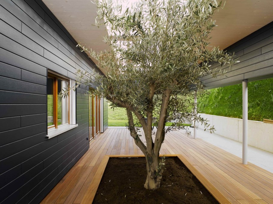 Планкен лиственница фасад