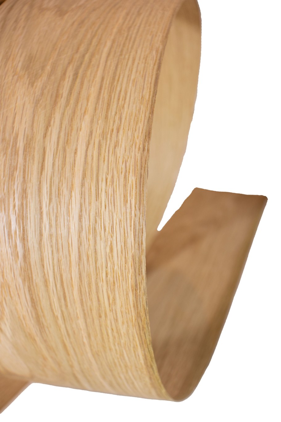 Шпон дуба широкий купить