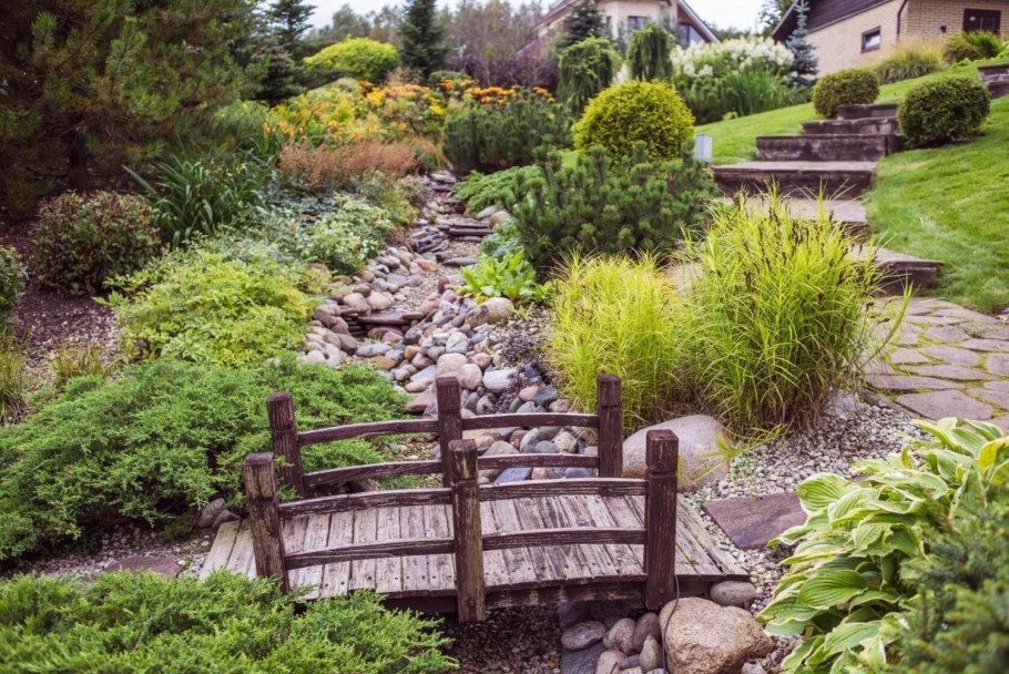 Японский сад Елены Асташкиной