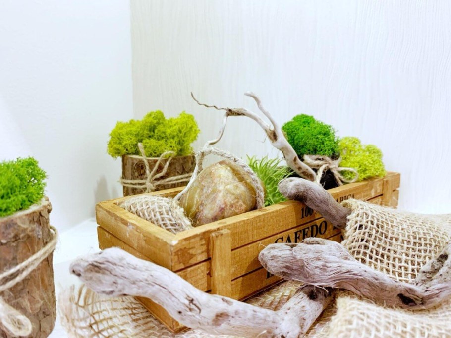 Экостиль мох