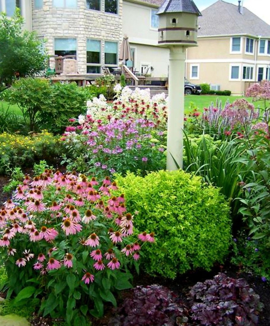 Спирея вейгела