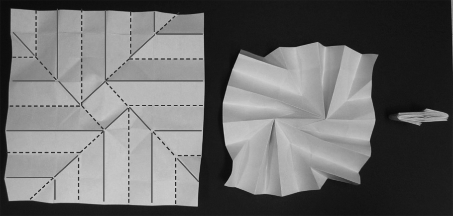 Архитектоника плоского листа