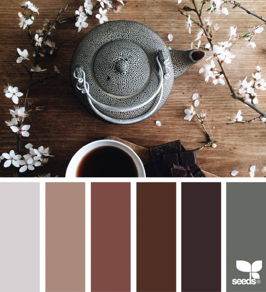 Цветовые сочетания с коричневым