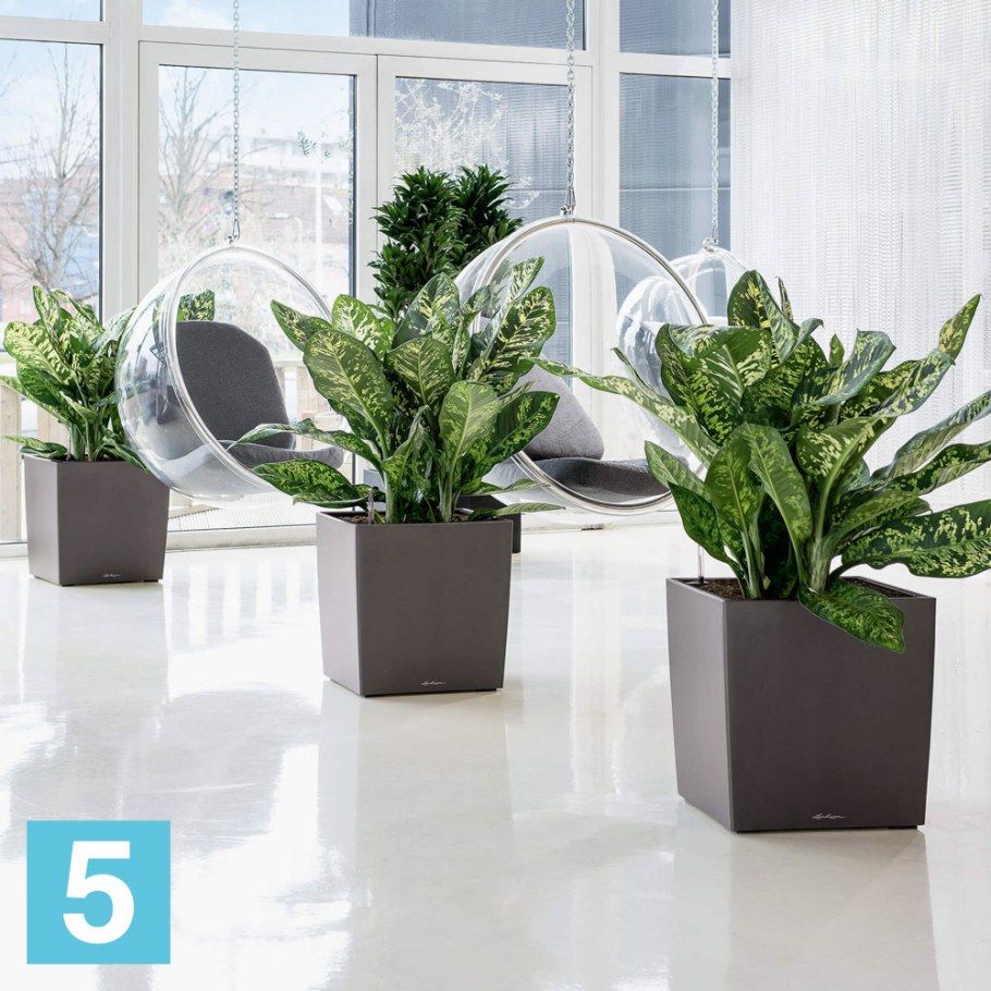 Кашпо Lechuza Cube