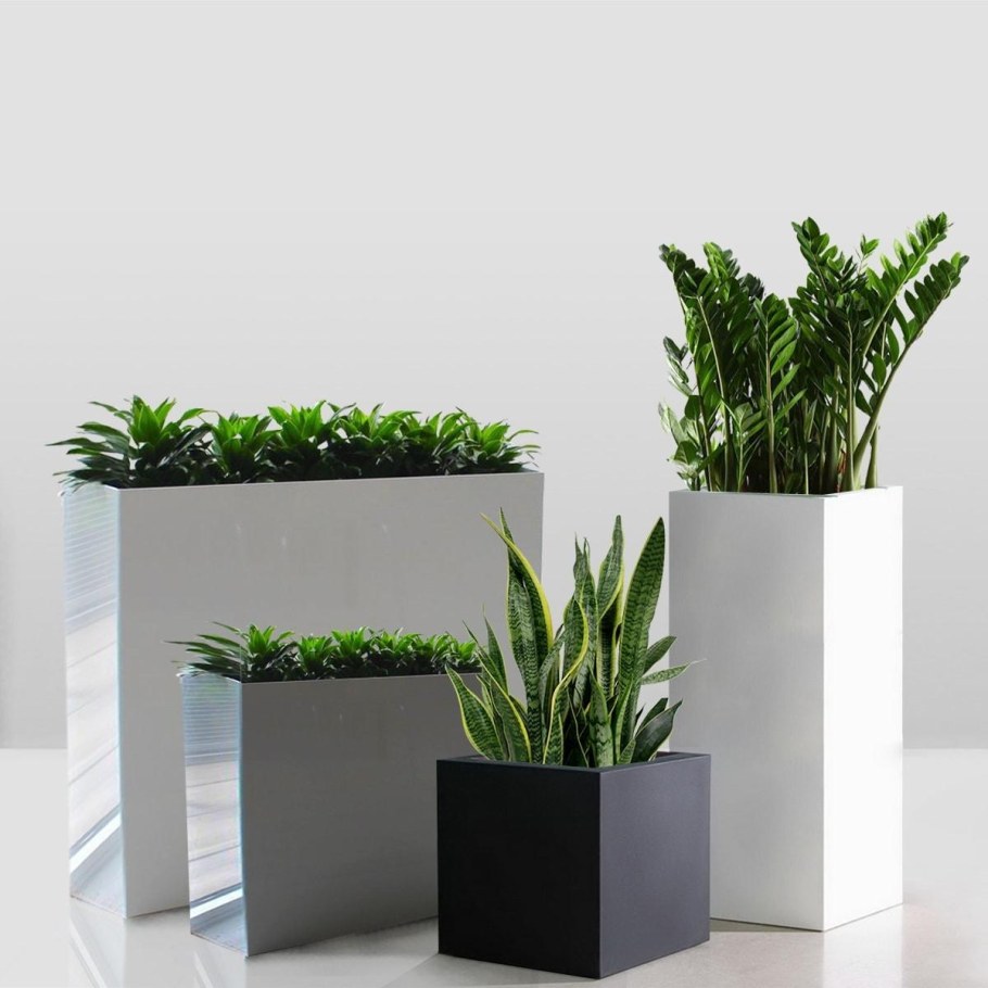 Кашпо Lechuza Rondo