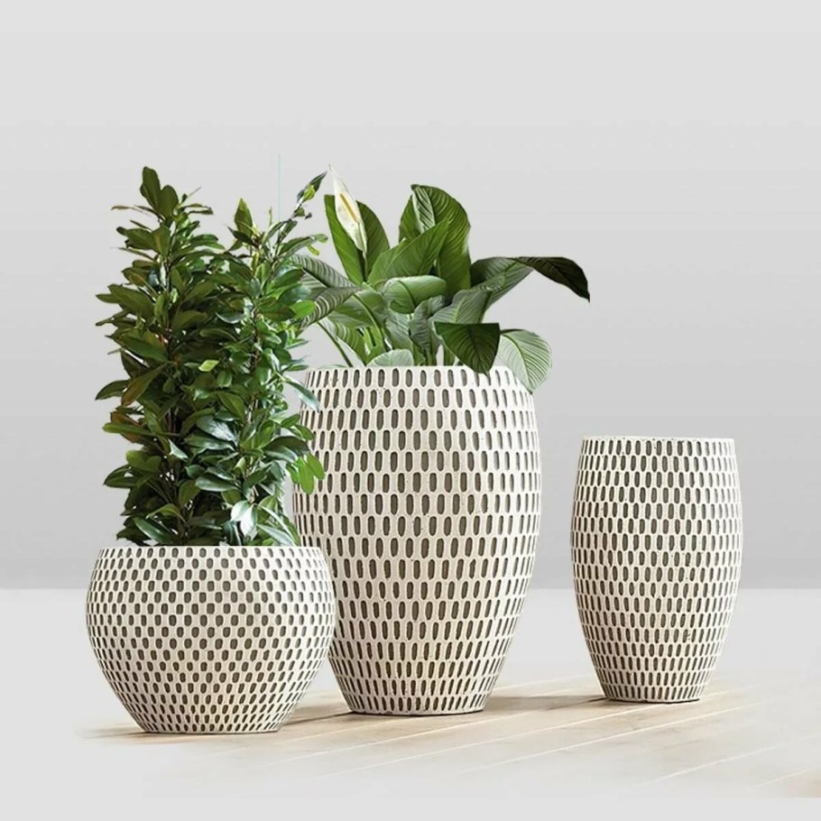 Кашпо Lechuza Havalo Vase