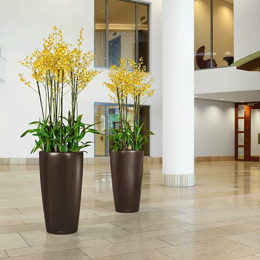 Кашпо Лечуза Rondo