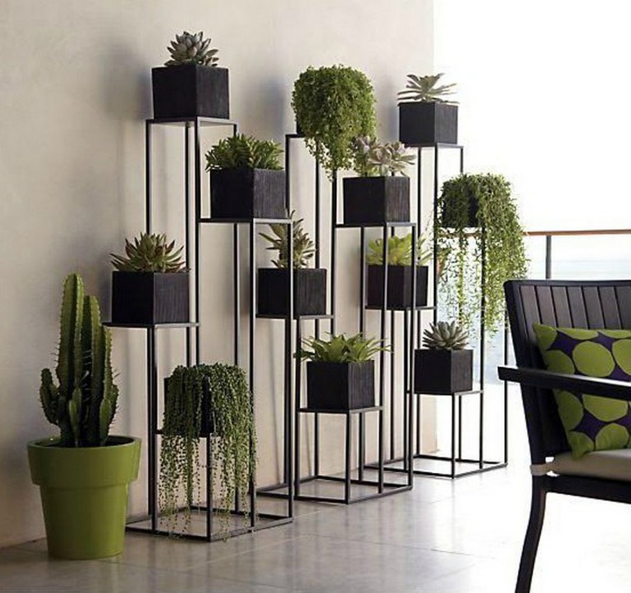 Декоративные растения для интерьера