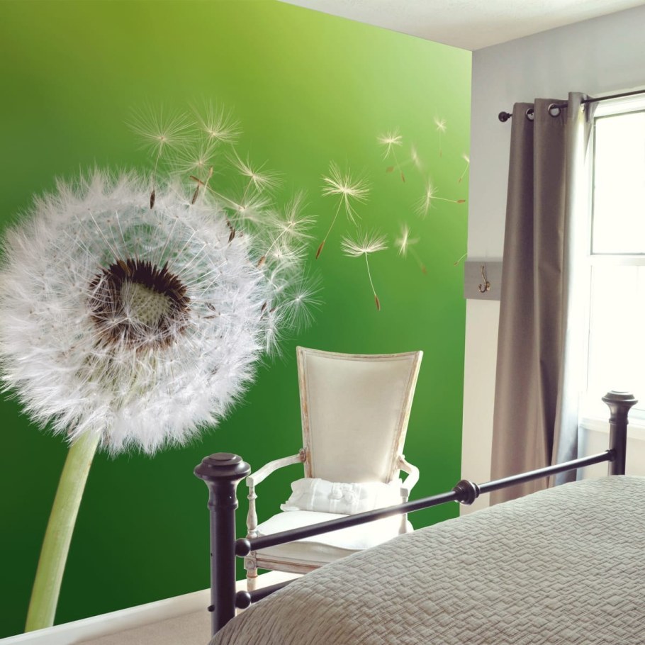 Обои флизелиновые одуванчики