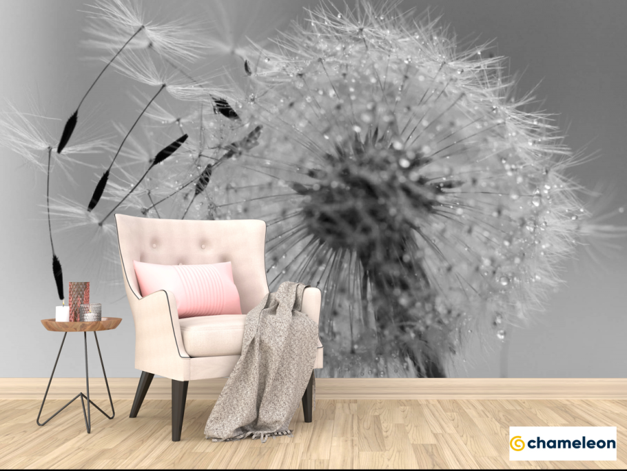 Черные обои с одуванчиками в интерьере