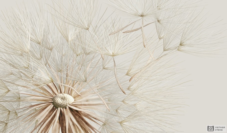 Фотообои одуванчик