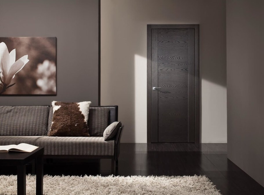 Двери в интерьере
