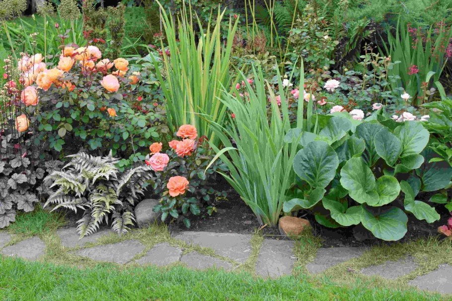 Клумбы гейхера Хоста и лилейник