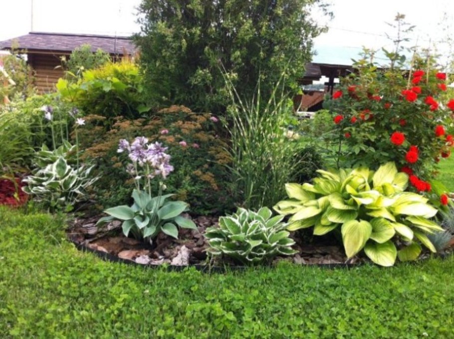 Клумба Хоста лилейник гортензия