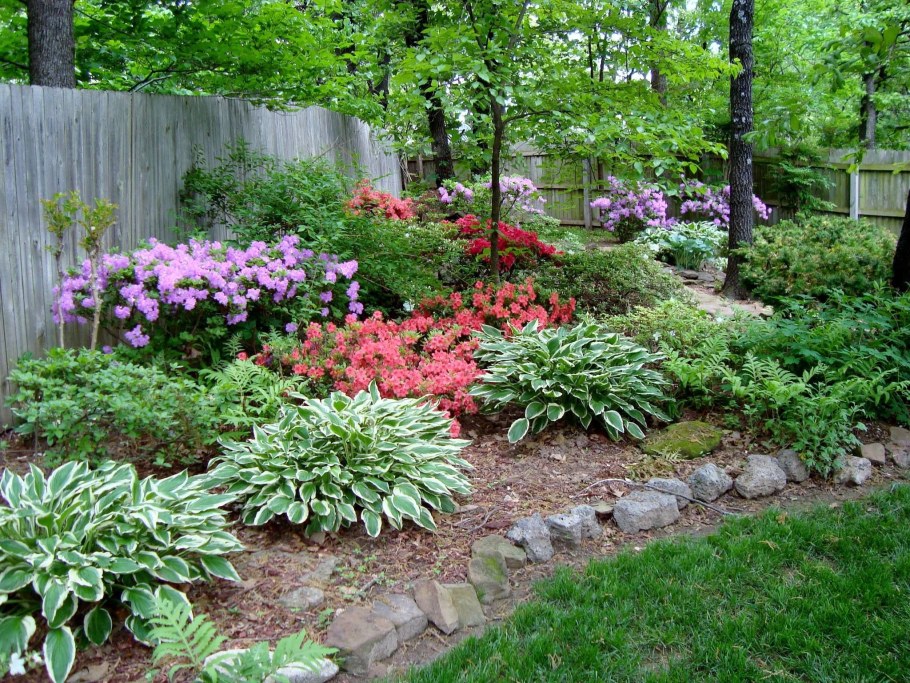 Астильба Хоста миксбордер