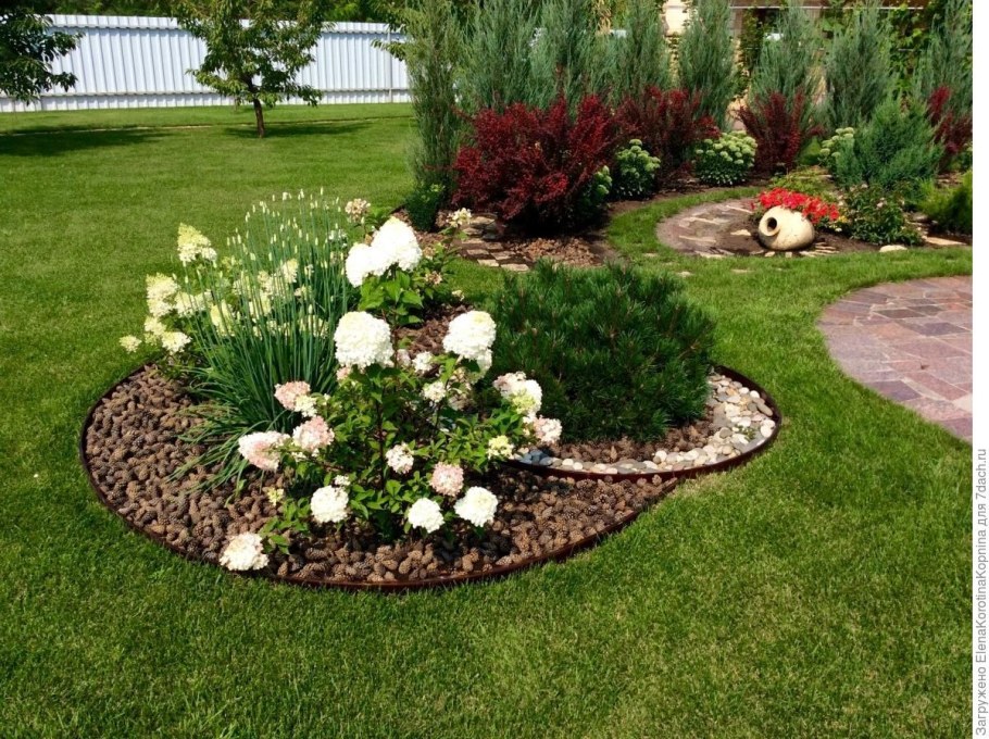 Мульчирование приствольного круга туи