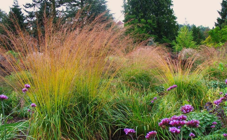 Молиния Карл Форестер