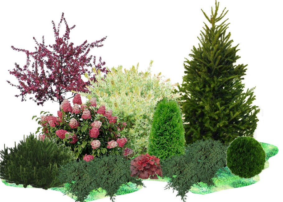 Миксбордер с туей Смарагд