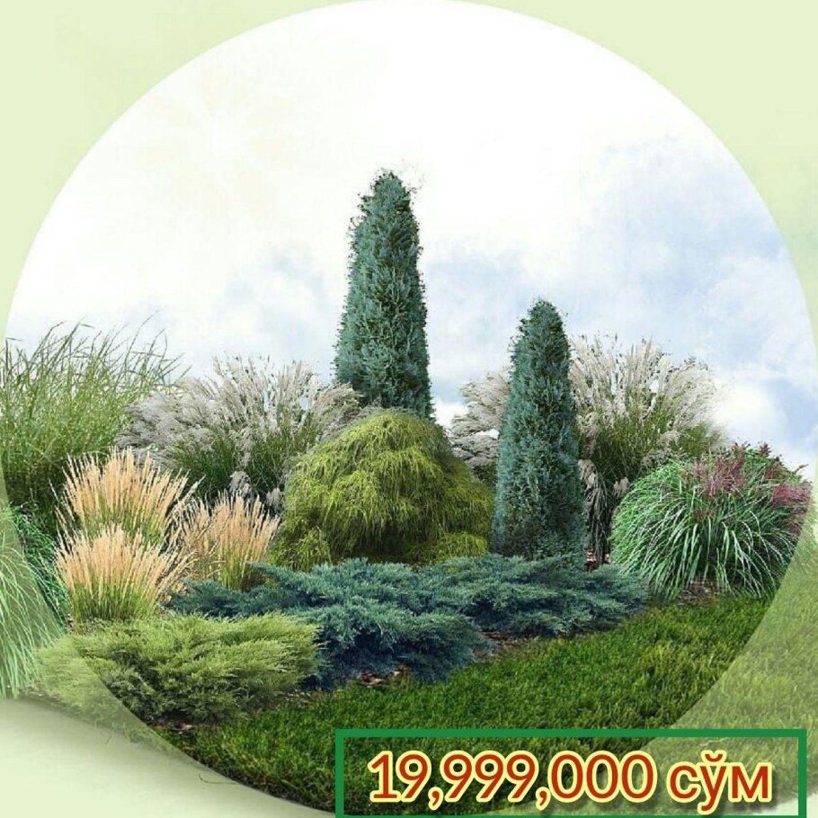 Миксбордер с туей Смарагд